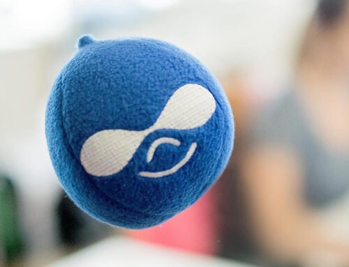 Pilih WordPress atau Drupal